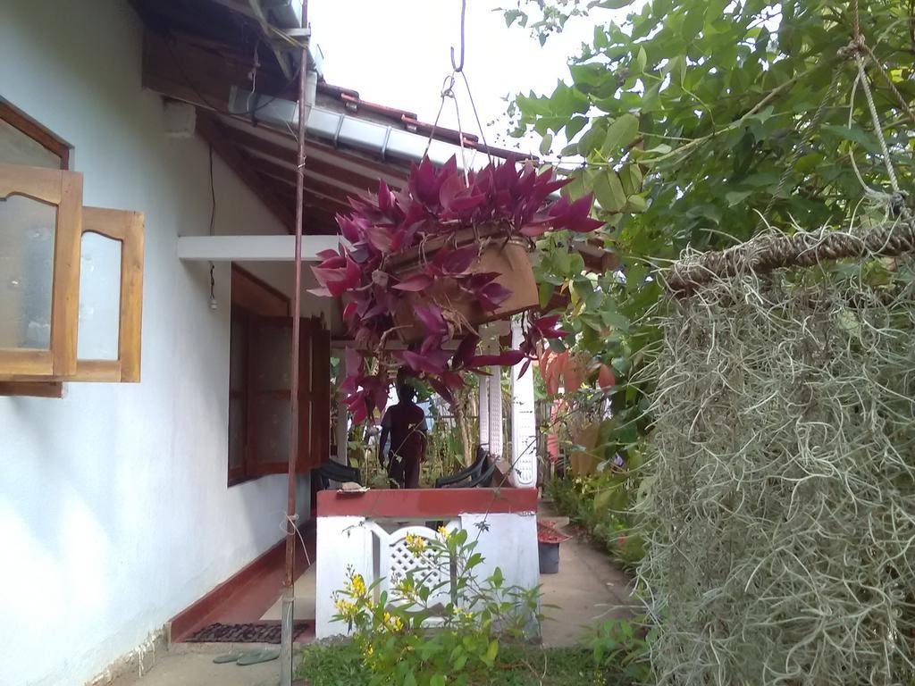 ווליגאמה Gem Villa מראה חיצוני תמונה